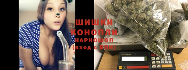 гидра Лихославль