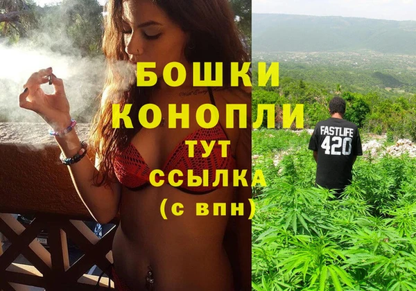 гидра Лихославль