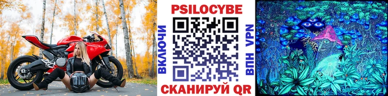 Галлюциногенные грибы Psilocybe  это какой сайт  Тюмень  кракен tor 