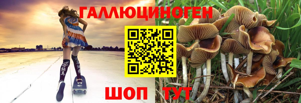 Галлюциногенные грибы MAGIC MUSHROOMS  Вход с VPN  Псилоцибиновые грибы Magic Shrooms  Тюмень 