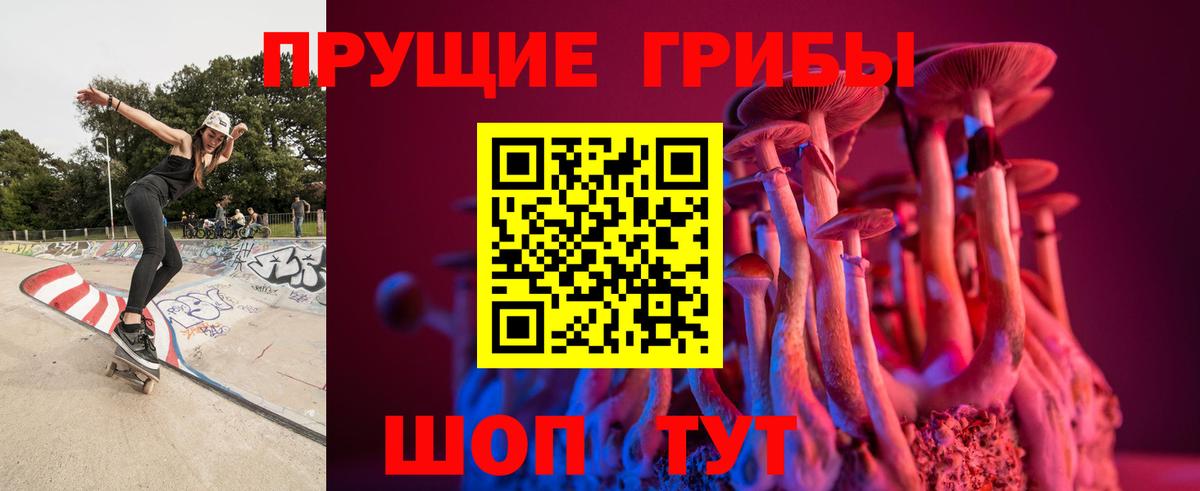 Галлюциногенные грибы Cubensis Тюмень